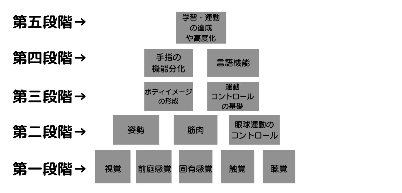 発達検査「新版K式」の見方と効果的なトレーニング | はひふほママブログ